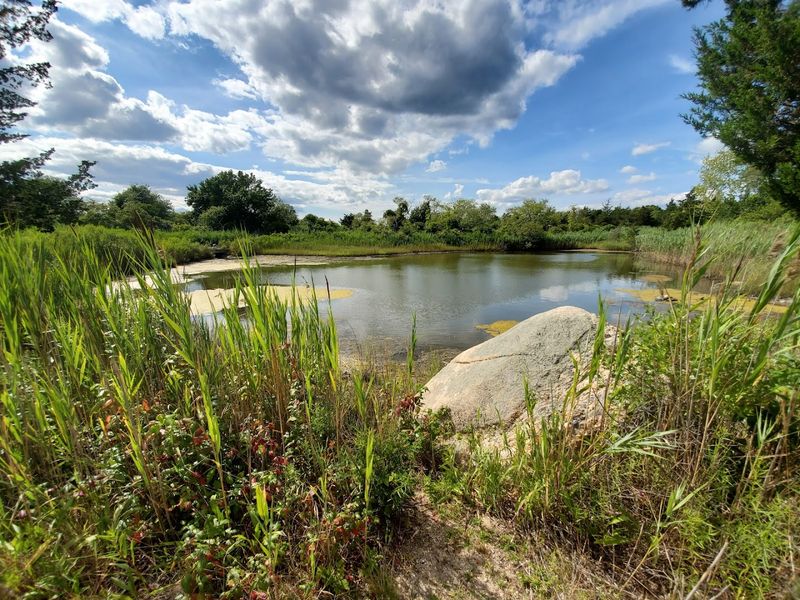 Ninigret National Wildlife Refuge, Charlestown