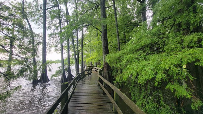 Reelfoot Lake