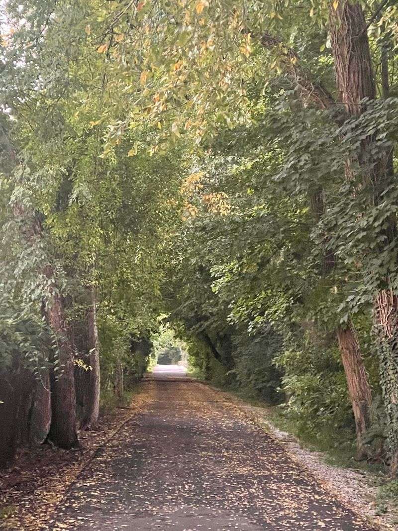 Leave The Crowds Behind On These 10 Dreamy New York Bike Routes - Decor Hint South County Trailway