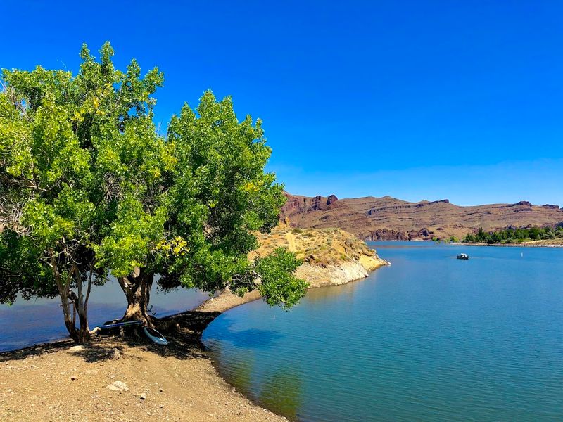 Lake Owyhee State Park