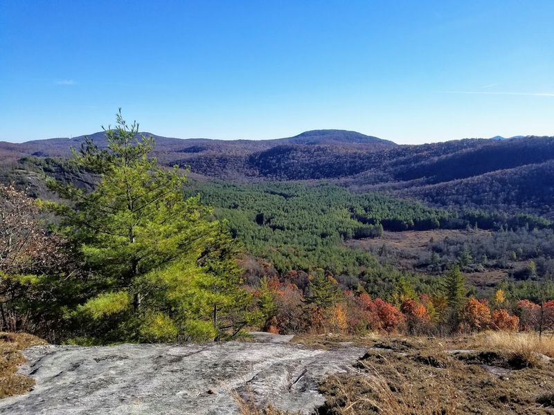 Panthertown Valley Backcountry Area