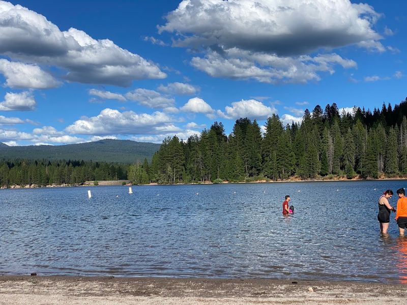 14 California Swimming Spots With Water So Clear They Belong On Your Summer 2026 List - Decor Hint Lake Siskiyou, Mount Shasta area