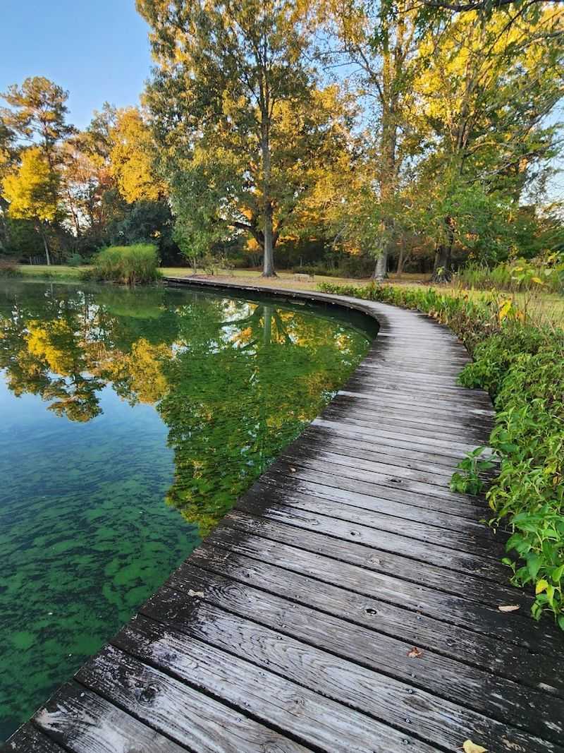 LSU Hilltop Arboretum, Baton Rouge