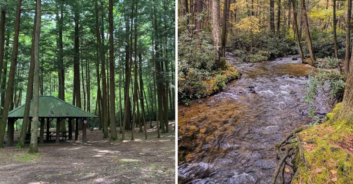 Just One Mile Of Hiking Unlocks A Stunning Pennsylvania Escape - Decor Hint
