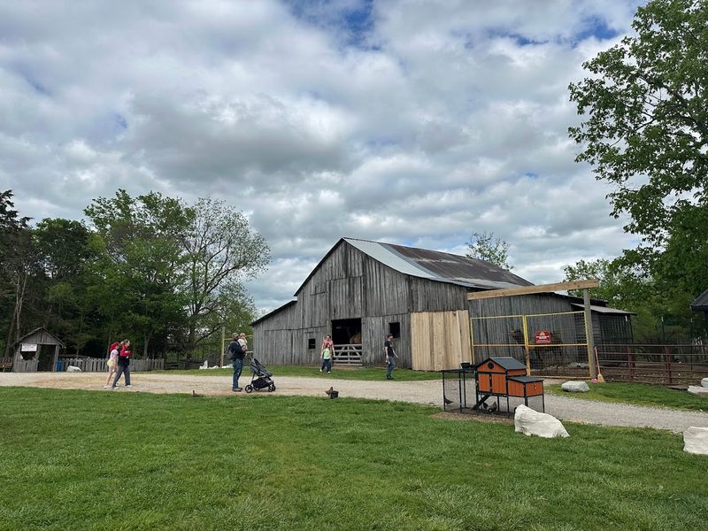 You'll Absolutely Fall In Love With This Peaceful Kentucky Park And Its Farm Animals - Decor Hint Memories That Last Long After The Drive Home