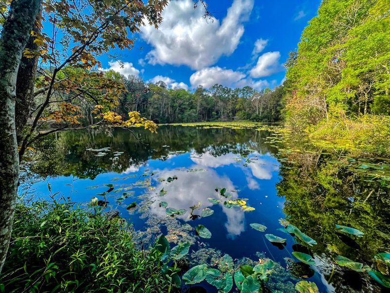 10 Best Things To Do In Jacksonville, Florida - Decor Hint Jacksonville Arboretum And Botanical Gardens