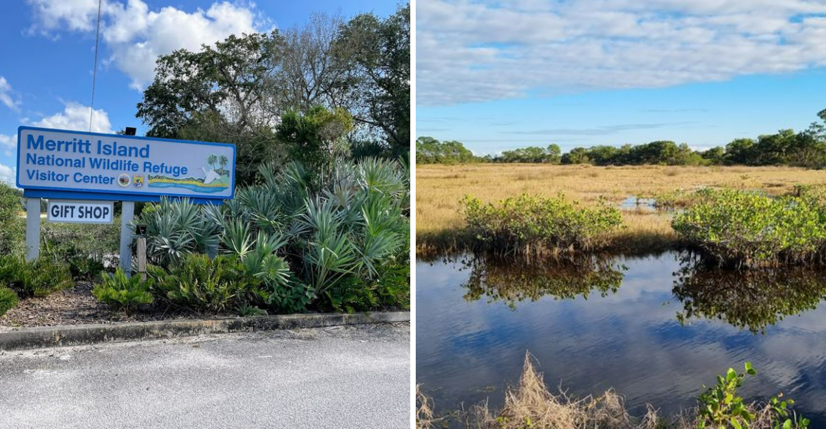 Kayak Across Shimmering Blue Waters On This Stunning Florida Canal At Night - Decor Hint