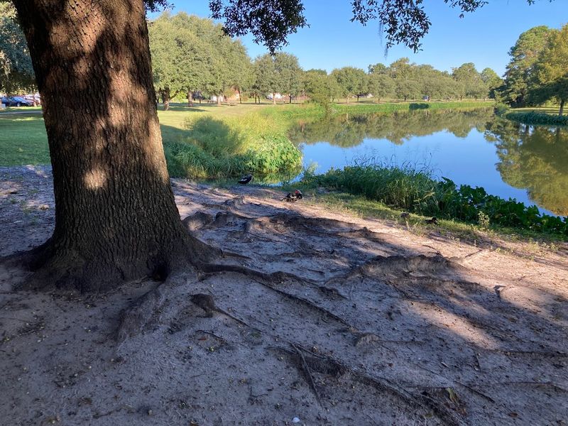 Pickleball And Tennis Courts For Extra Recreation Nearby