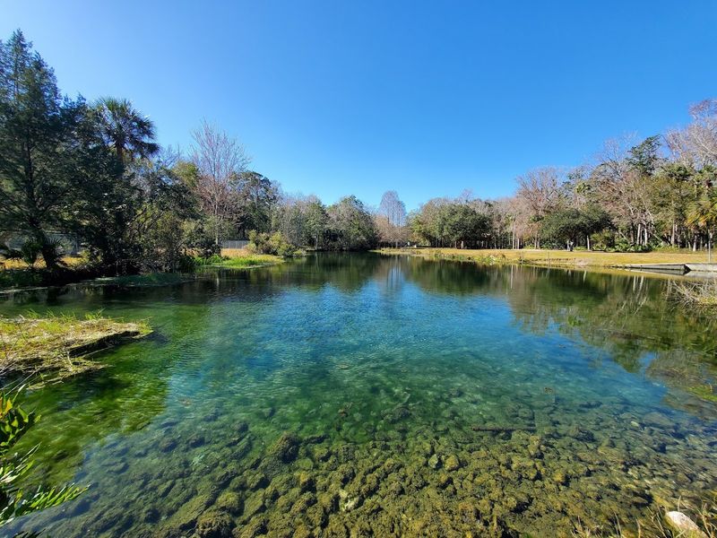 Homosassa
