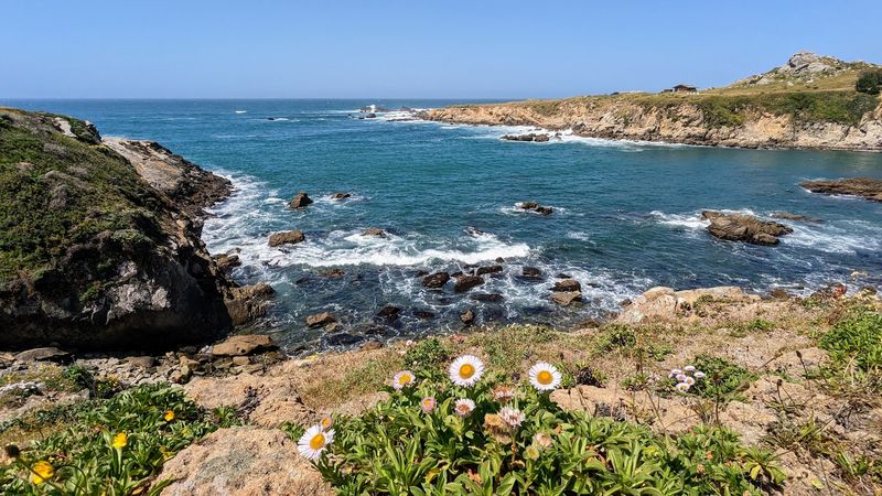 Salt Point State Park