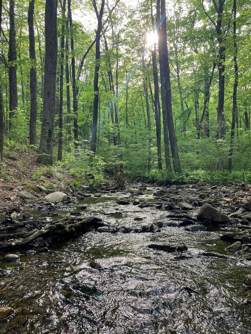 Roaring Brook Falls