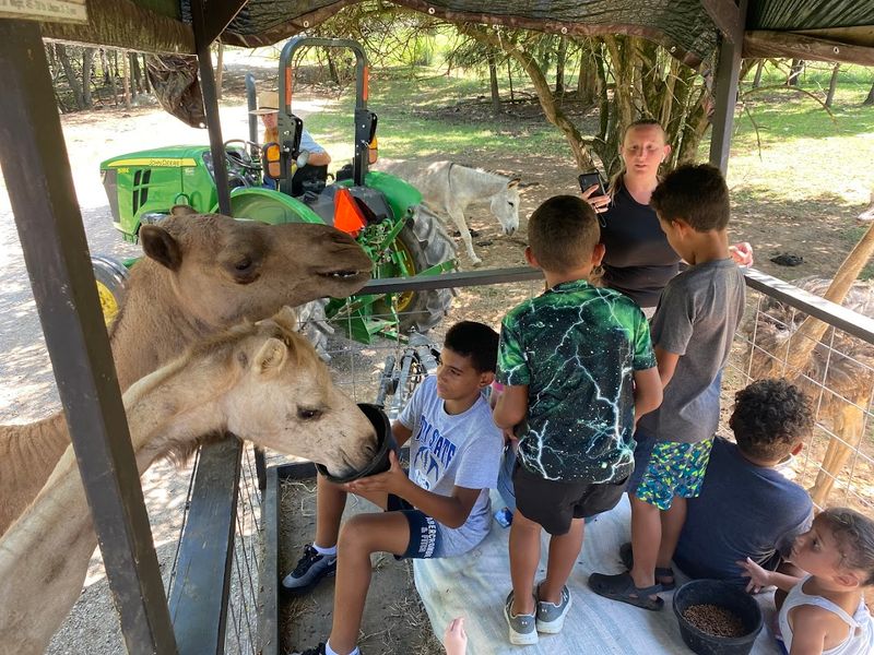 Dutch Country Safari Park