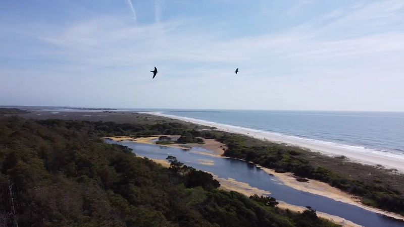Huntington Beach State Park