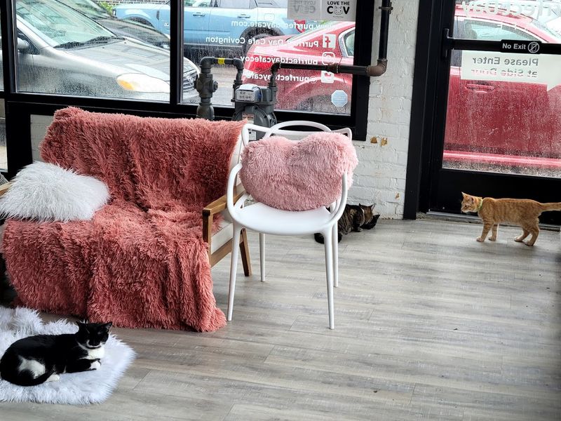 A Relaxing Atmosphere That Feels Like A True Escape From The Everyday