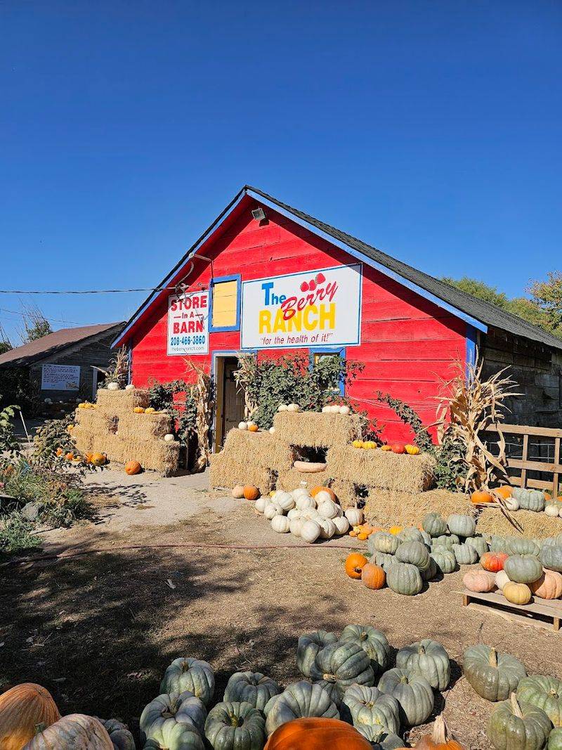 The Berry Ranch Makes A Simple U-Pick Day Feel Like Summer Properly Started