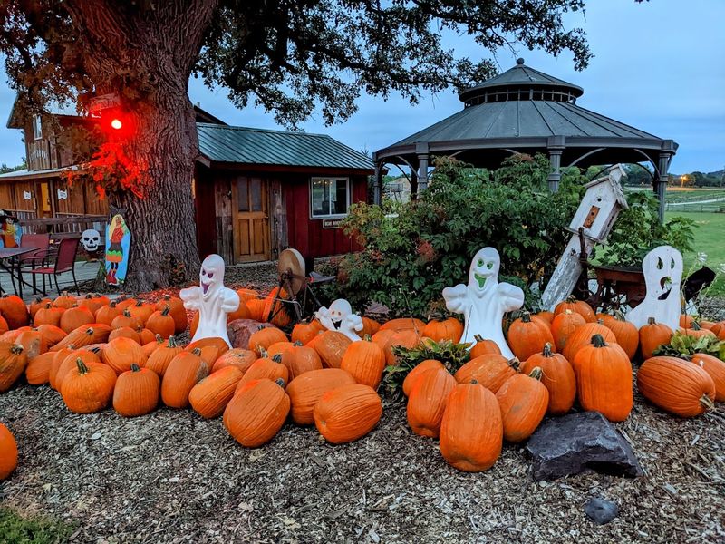 The Farm Has A Fall Second Act
