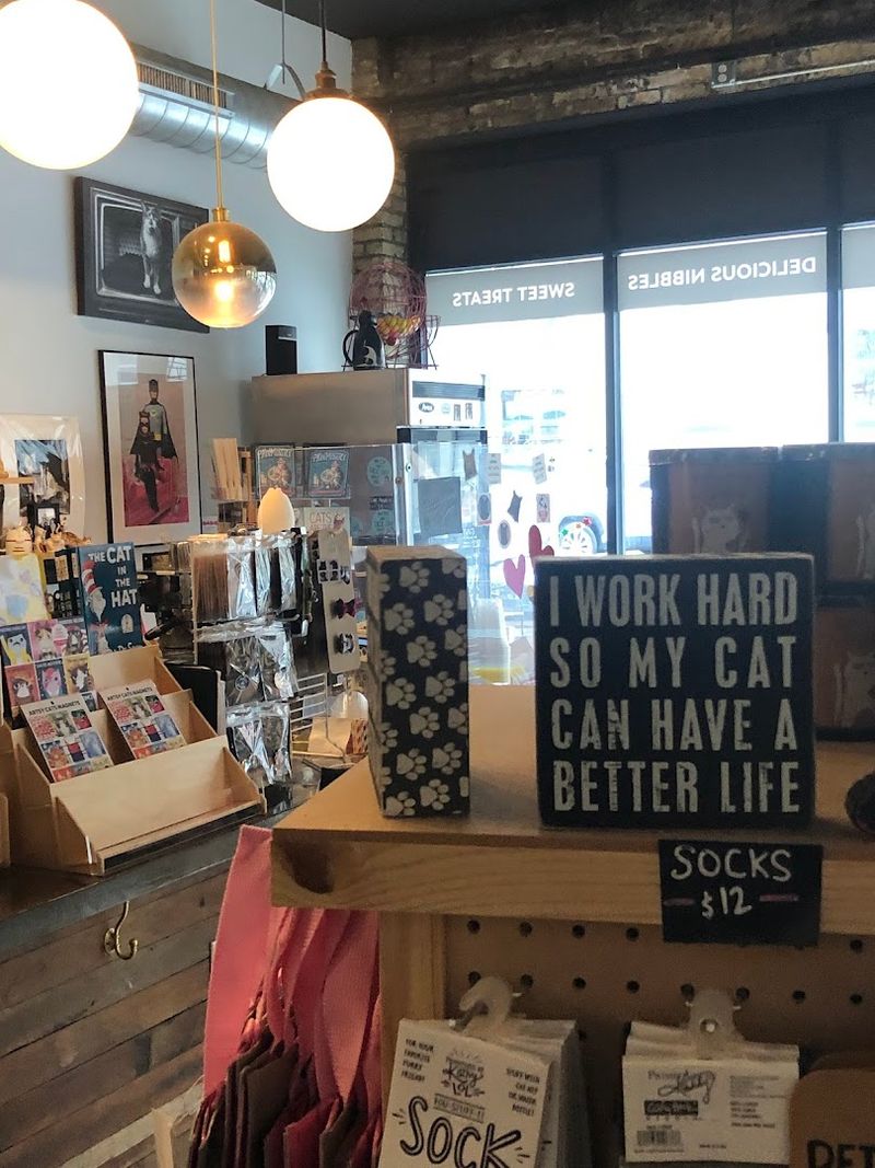 Cat Lovers Are Completely Smitten With This Wisconsin Café - Decor Hint The Space, The Vibe, The Decor