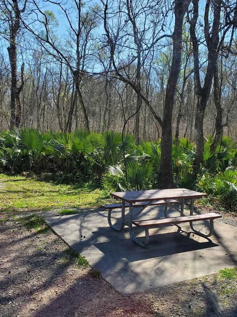 Palmetto Island State Park, Abbeville