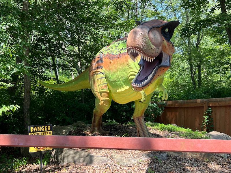 The Dinosaur Place