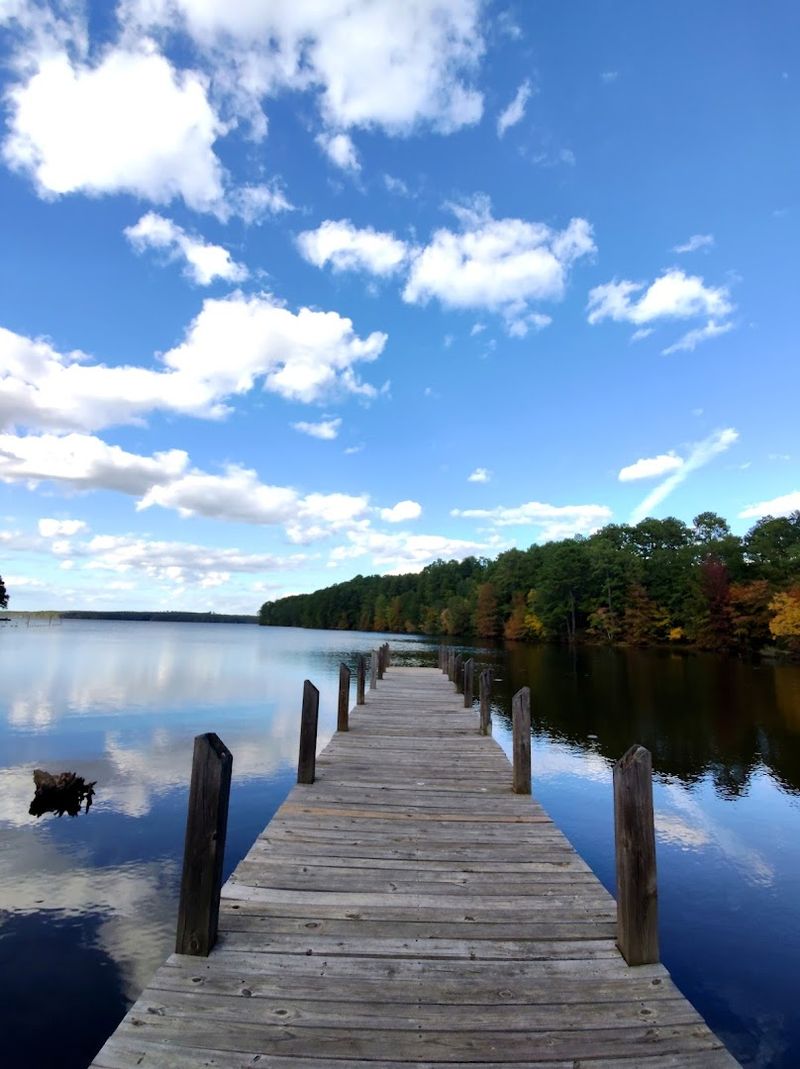 Lake Claiborne State Park, Homer