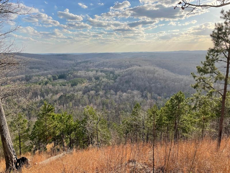 Morrow Mountain Overlook / Mountain Loop Trail