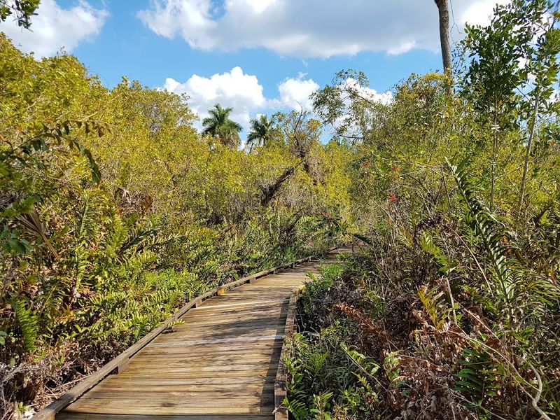 Collier-Seminole State Park