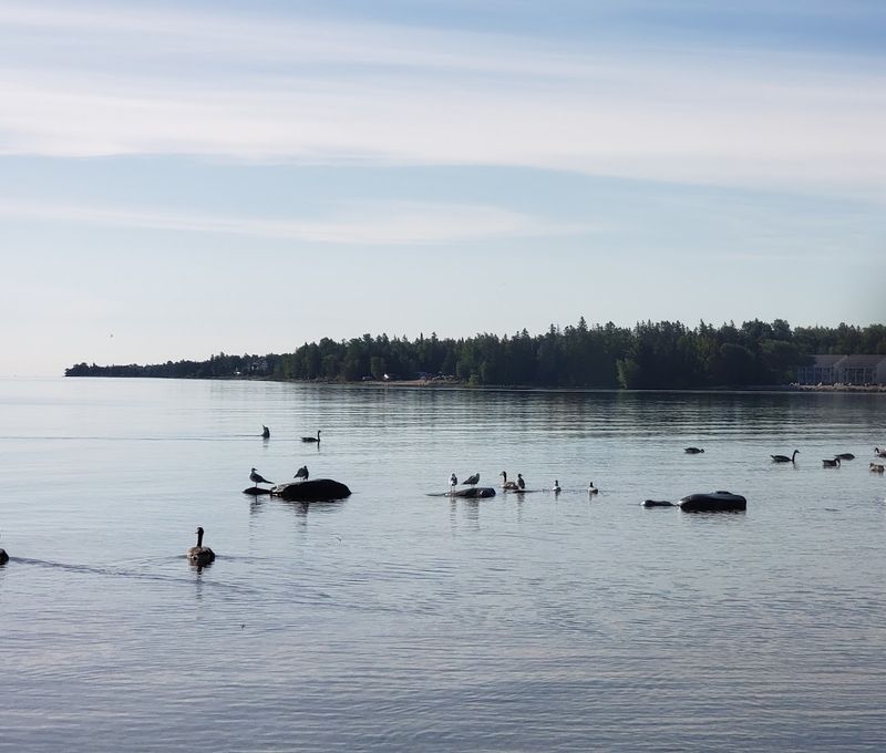 Lake Huron Shoreline