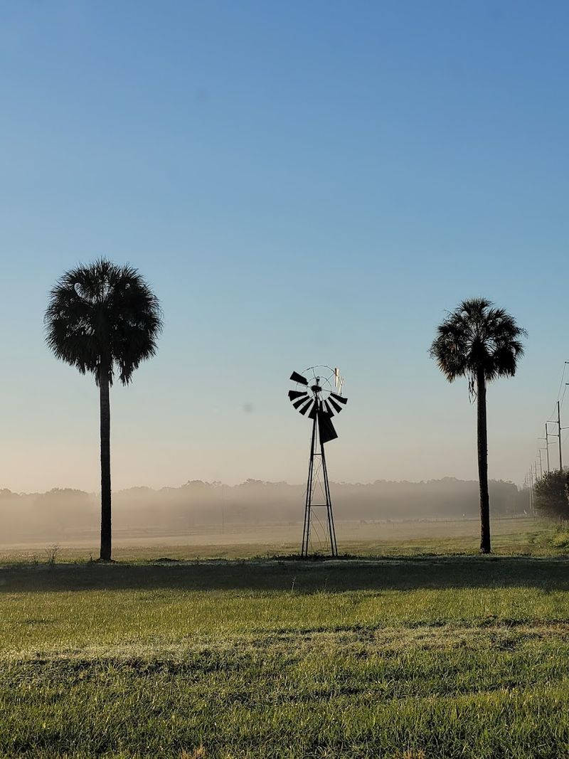 These 11 Florida Cities Offer A More Budget-Friendly Retirement Lifestyle - Decor Hint Zephyrhills, Pasco County