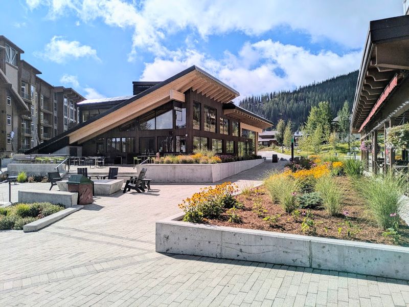 Schweitzer Mountain In Summer