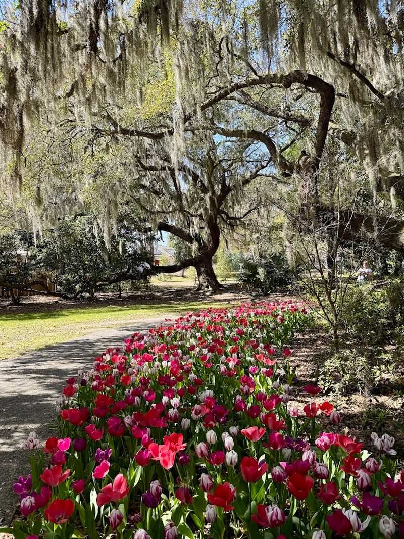 Airlie Gardens