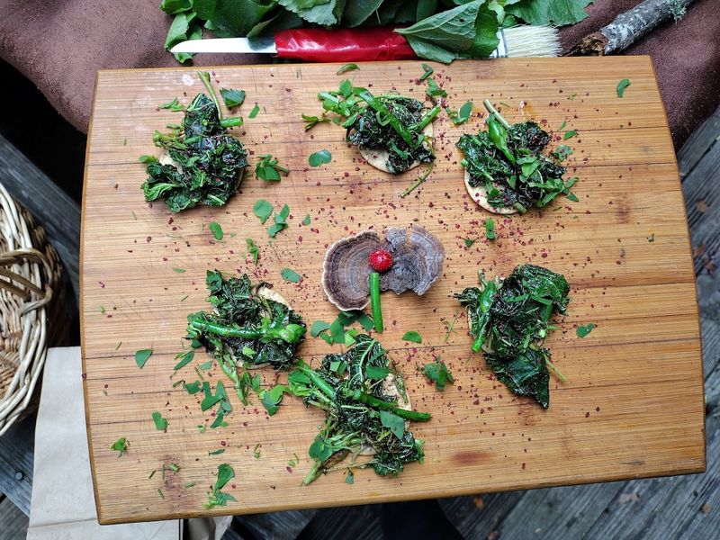This North Carolina Foraging Tour Lets You Hunt For Wild Mushrooms In The Asheville Woods - Decor Hint Taste Your Trail Finds Before The Tour Is Over