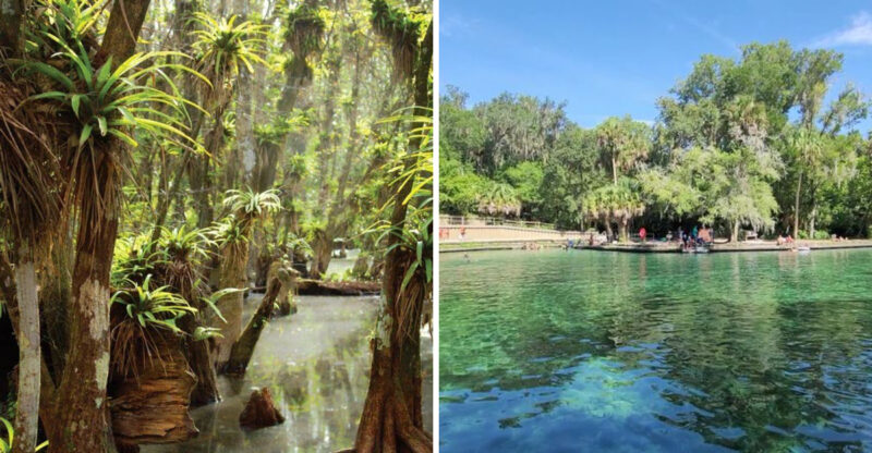 Leave The Notifications Behind On These 10 Scenic Florida Walks
