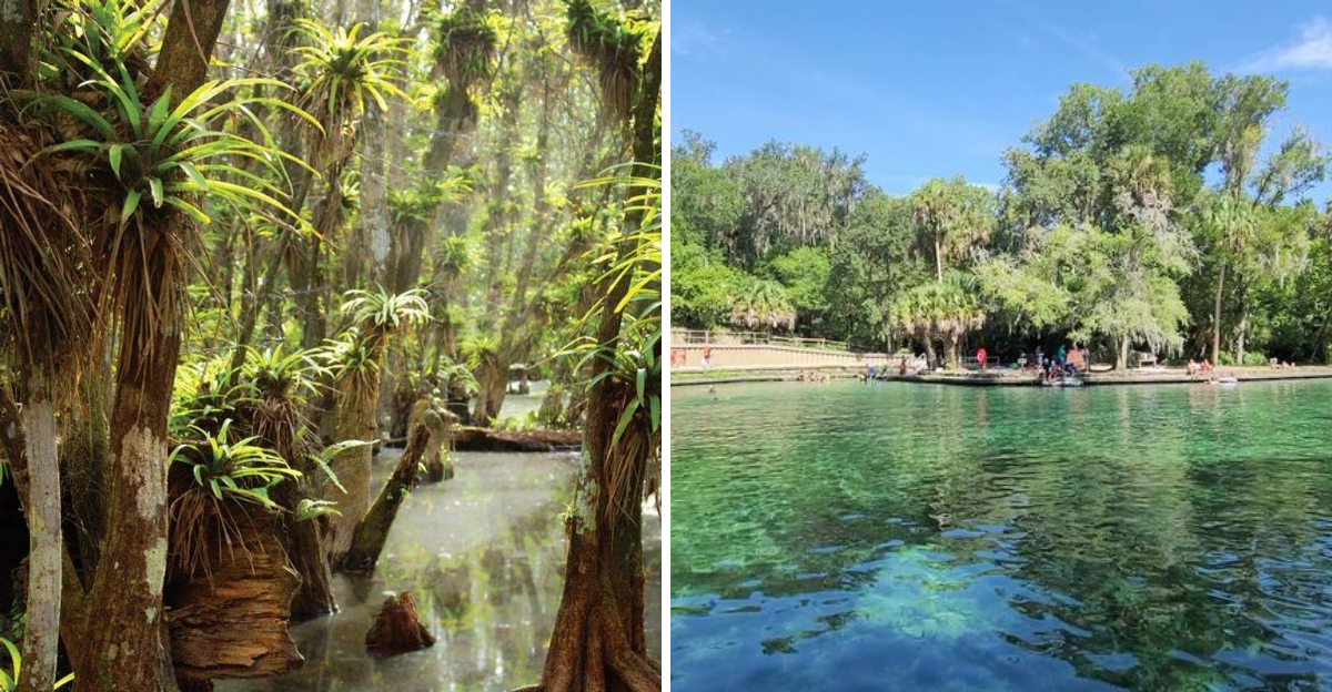 Leave The Notifications Behind On These 10 Scenic Florida Walks - Decor Hint