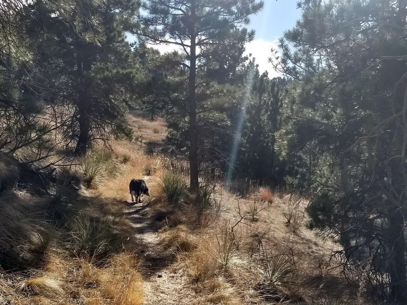 Nebraska Wildlife Spots Where Bison, Elk, And Other Big Animals Are Easy To See - Decor Hint Wildcat Hills State Recreation Area, Gering
