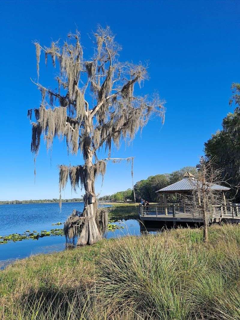 These 11 Florida Cities Offer A More Budget-Friendly Retirement Lifestyle - Decor Hint Inverness, Citrus County