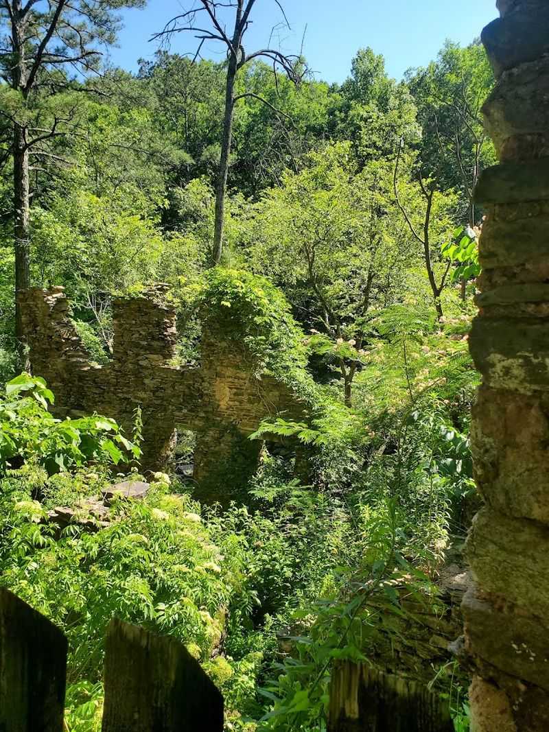 The Georgia Mountain Bike Trail That Feels Like Traveling Back In Time - Decor Hint A True Gem Close To The Heart Of East Cobb
