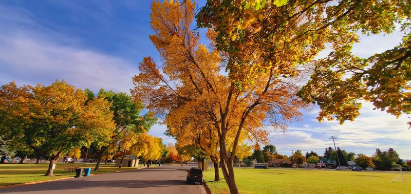 The Awkward Little World Of Napoleon Dynamite Was Filmed In This Idaho Town - Decor Hint Bring Someone Who Still Quotes The Movie Too Much