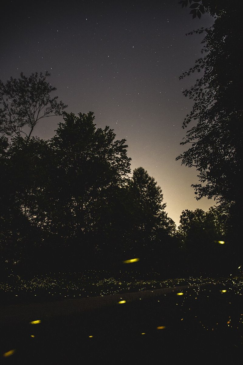 Watch The Riverbanks Light Up While You Barely Have To Paddle