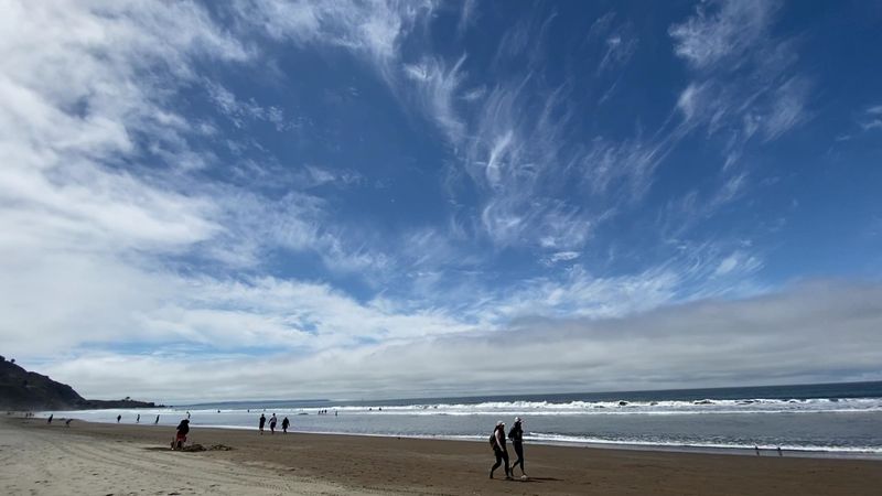 Take A Long Beach Walk Without Needing A Plan