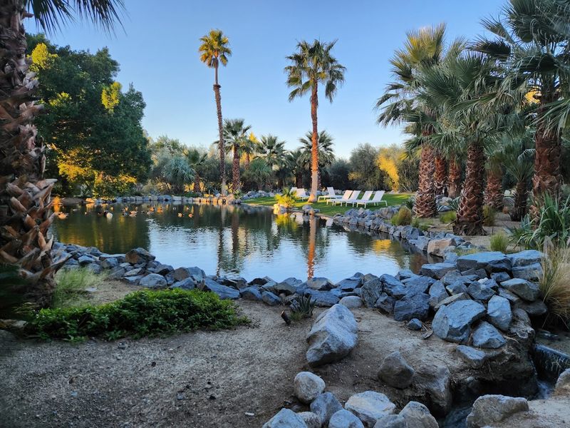 Float Between Several Outdoor Pools
