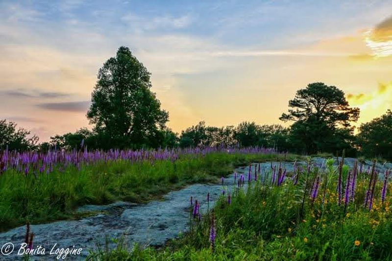 The Blue Ridge Parkway Makes The Stop Feel Effortless