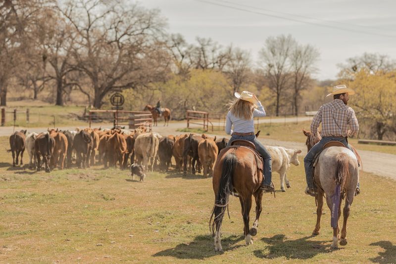 Riders Can Bring Their Own Horse For Some Events