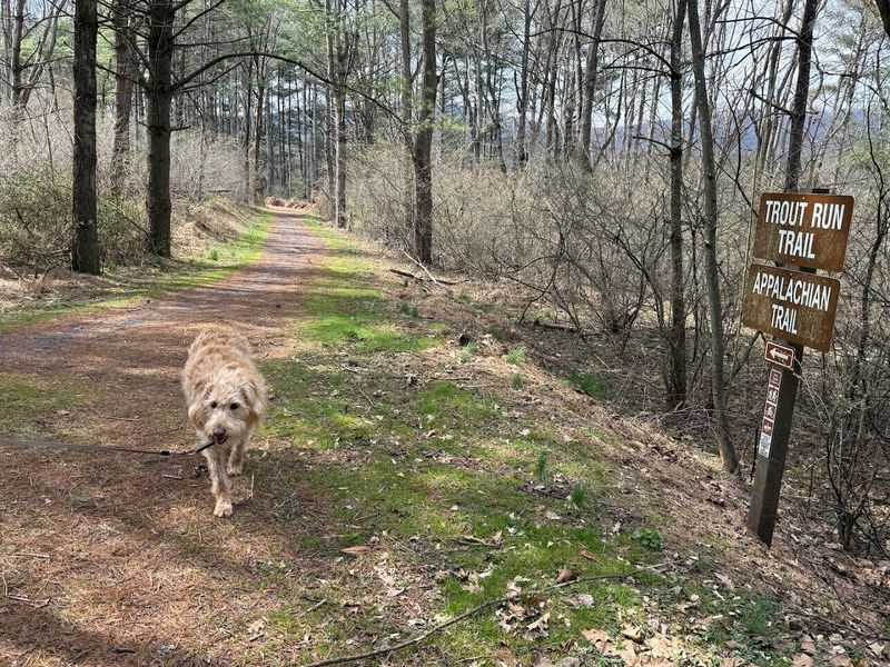 Swatara State Park, Pine Grove