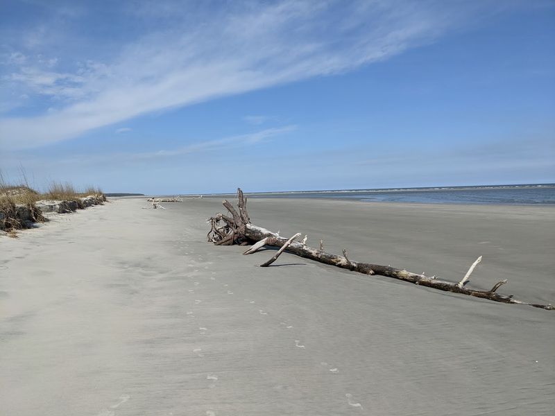 Cabretta Beach - Sapelo Island