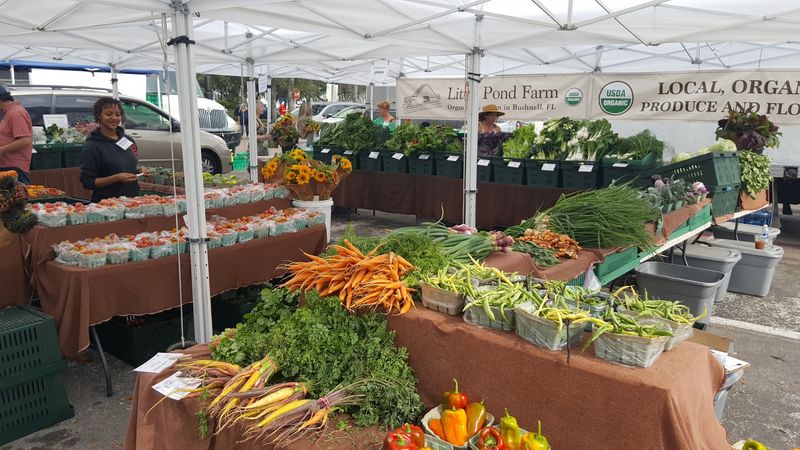 SNAP Benefits And Fresh Access Bucks Program