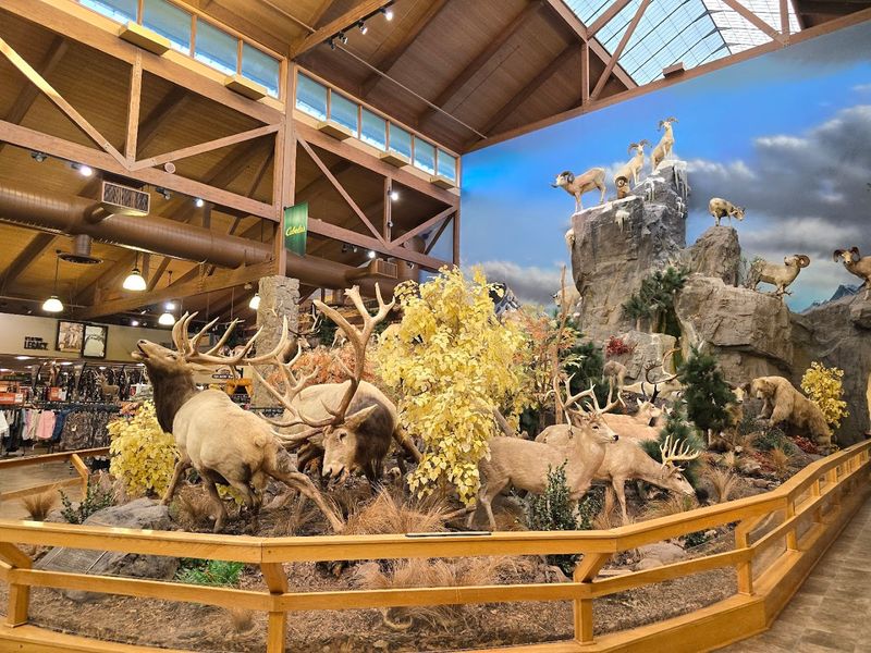 Cabela's Gives Sidney A Famous Local Landmark