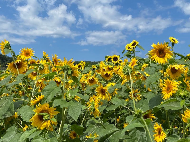 A Sunny Summer Stop That Feels Special