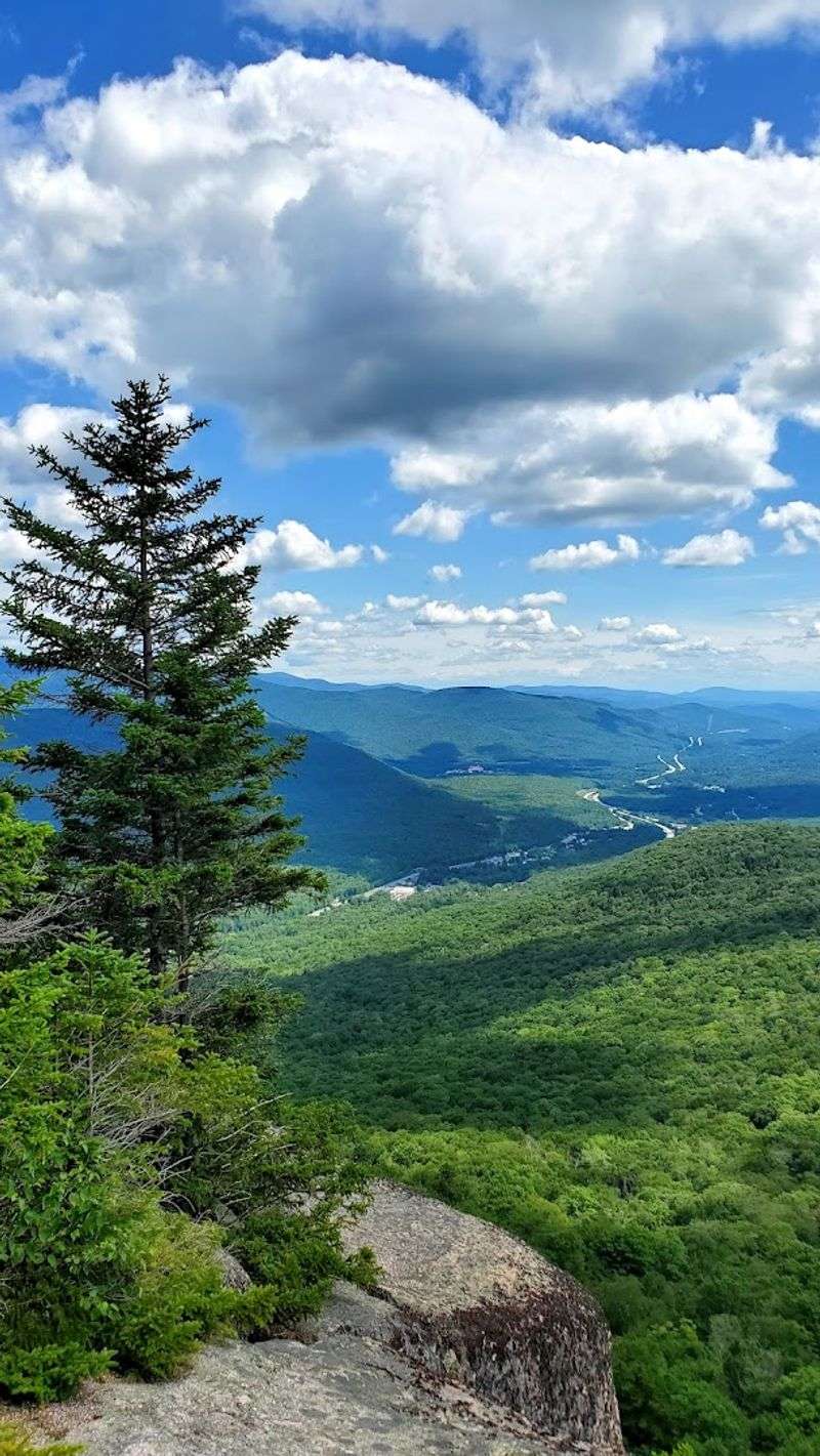 These 10 New Hampshire Easy Hikes That Save The Best Views For The Top - Decor Hint Mount Pemigewasset (Indian Head), Lincoln