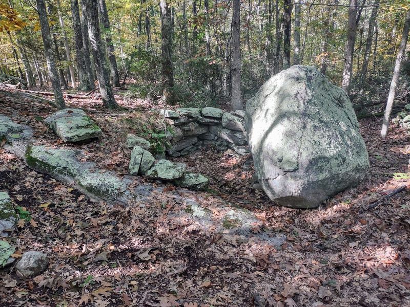 Follow A Guided Walk Through The Landscape