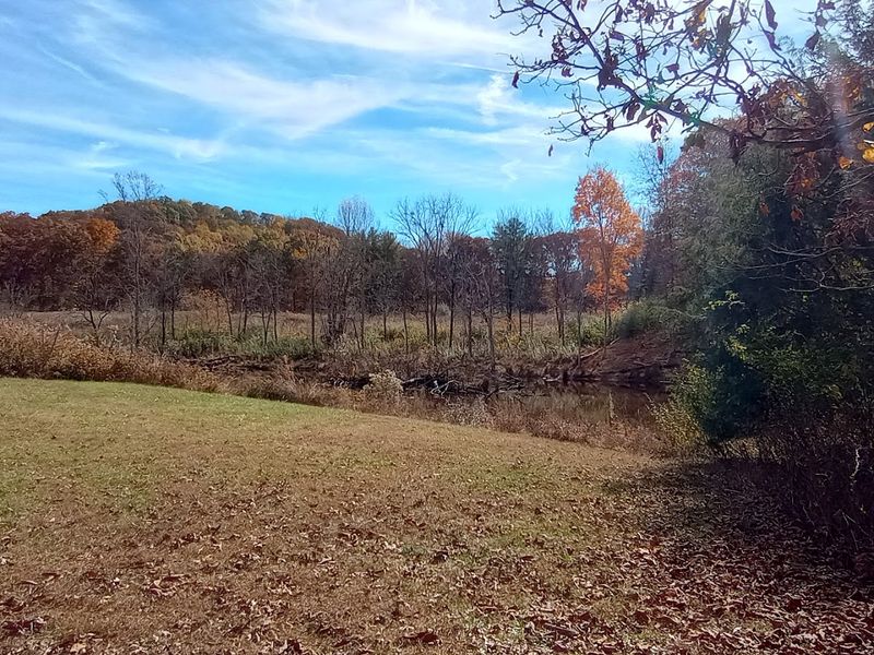 These 14 Kentucky Birdwatching Destinations Feel Like Hidden Front-Row Seats To Nature - Decor Hint Central Kentucky Wildlife Refuge
